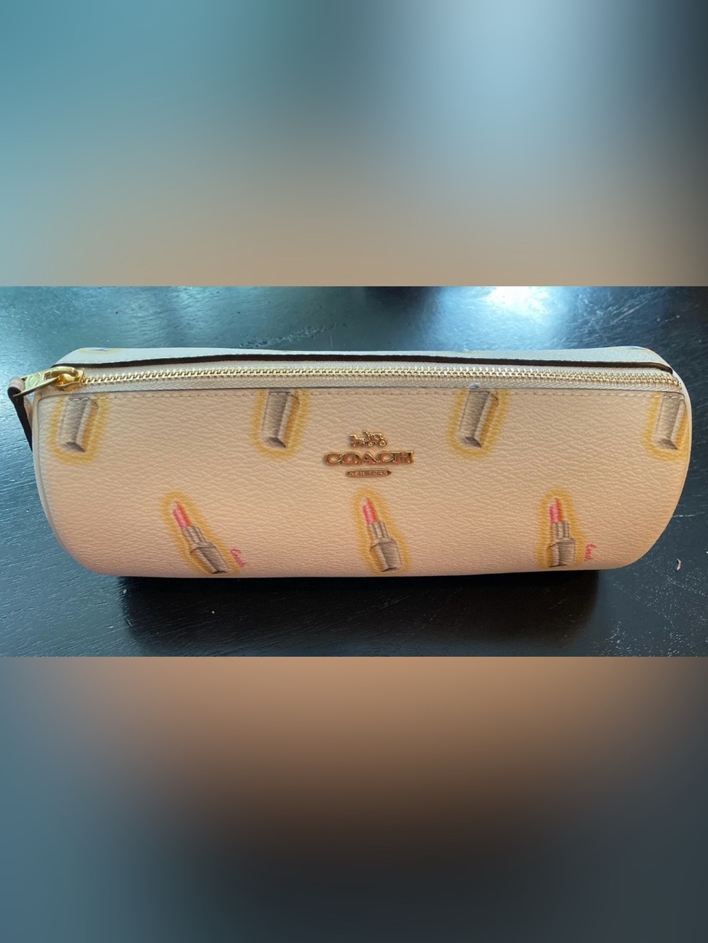 Coach Cream Lipstick Print Makeup Bag